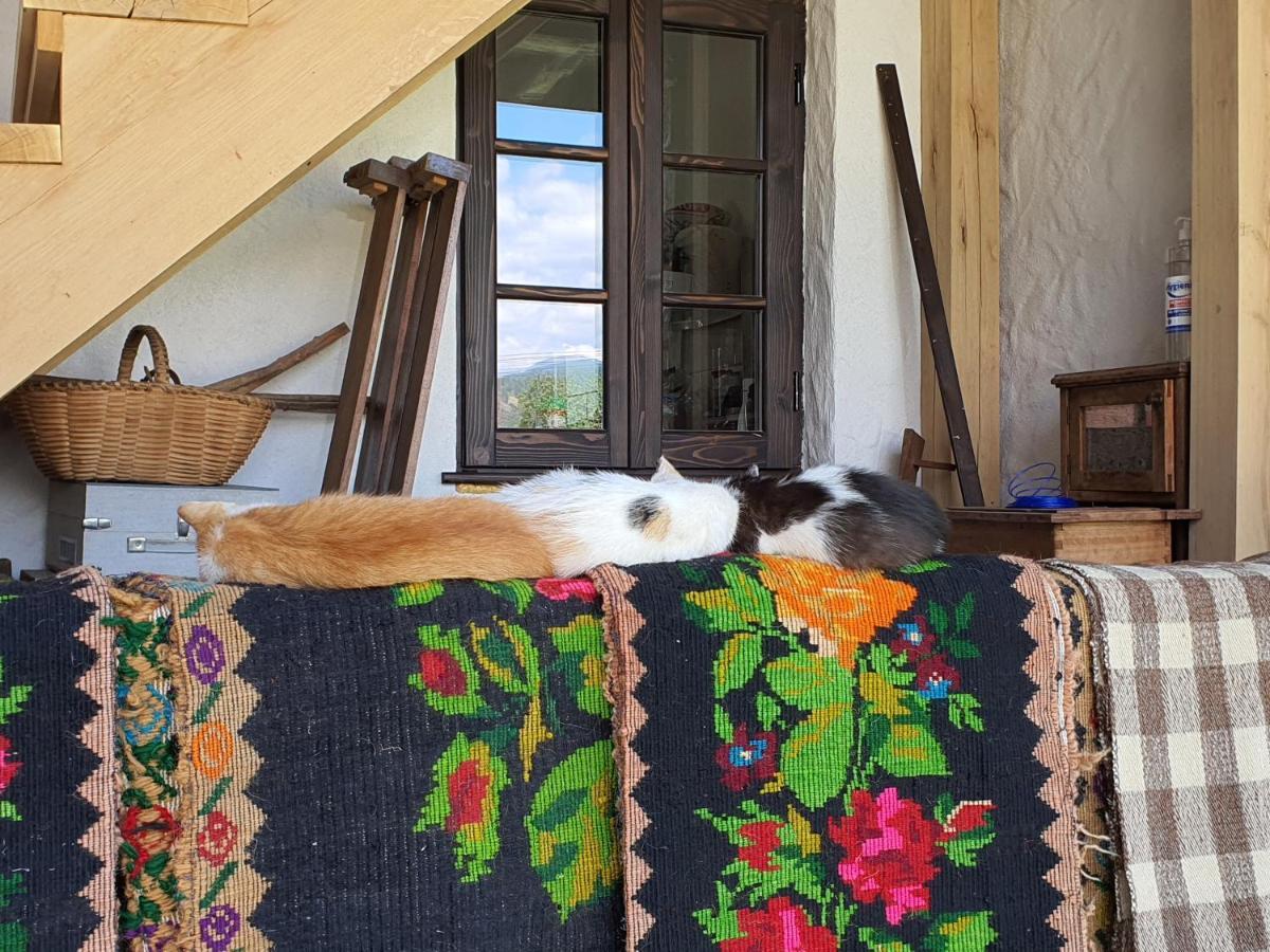 Ograda Bunicilor Villa Baia de Fier Exteriör bild