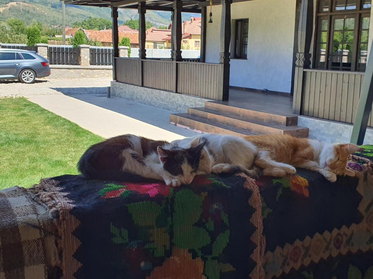 Ograda Bunicilor Villa Baia de Fier Exteriör bild